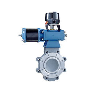 Lug butterfly valve