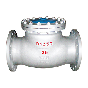 Swing Check Valve