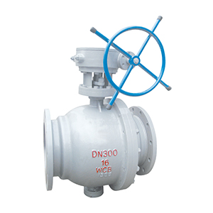 Trunnion Type ball valve